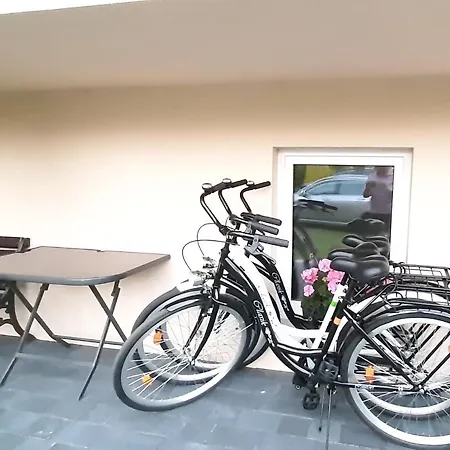 Bartek Dom Goscinny ダルウォボ