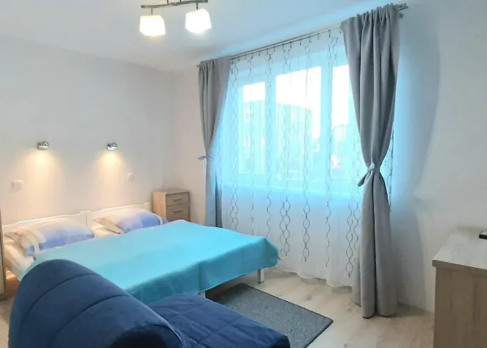 Bartek Dom Goscinny * ダルウォボ