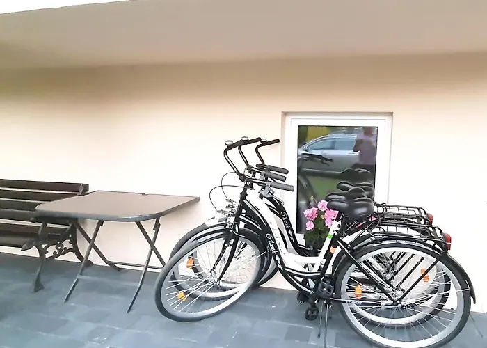 Bartek Dom Goscinny ダルウォボ